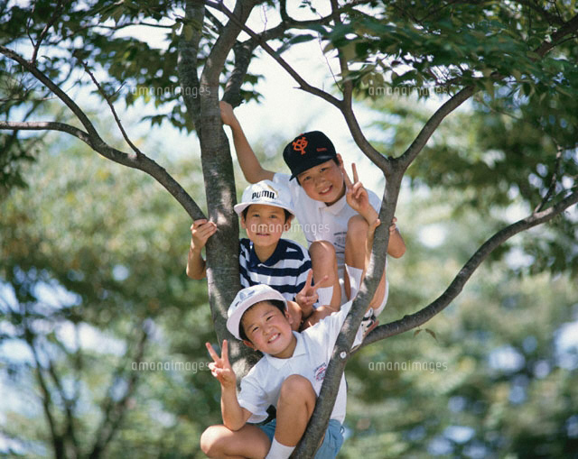 木登りをする日本人の少年たち
(c)TAKAO ONOZATO/orion