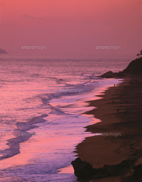 恋路ヶ浜の海岸(オレンジ色) 伊良湖岬 愛知県
(c)TAKAO ONOZATO/orion