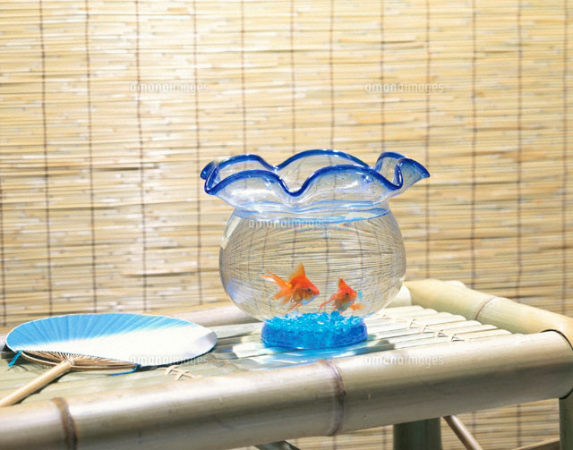 縁台と金魚鉢の2匹の金魚
(c)TAKAO ONOZATO/orion