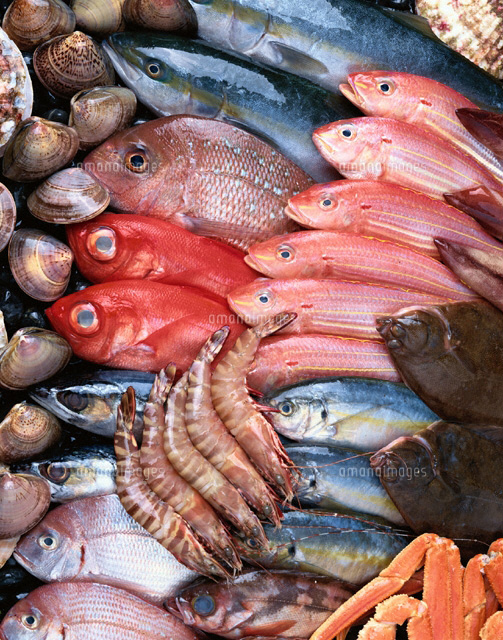 海産物
(c)TAKAO ONOZATO/orion