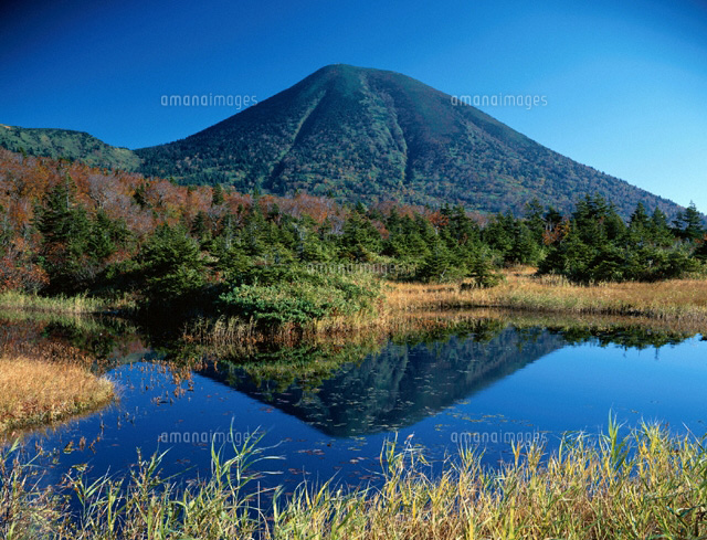 睡蓮沼 青森県
(c)TAKAO ONOZATO/orion