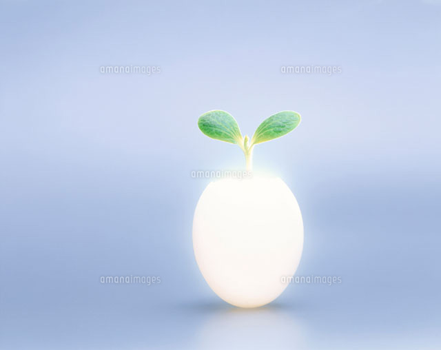 卵から出た植物の芽
(c)TAKAO ONOZATO/orion