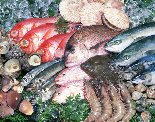 氷の上の多種・魚介類集合
(c)TAKAO ONOZATO/orion