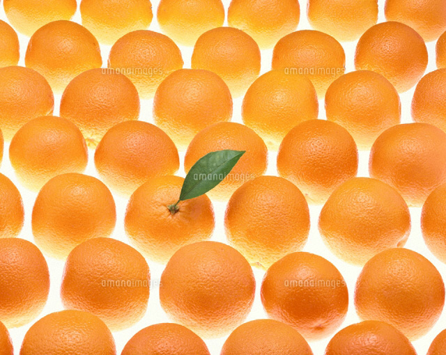 オレンジ
(c)TAKAO ONOZATO/orion