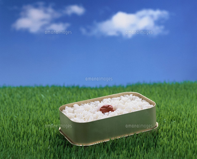 草原に日の丸弁当
(c)TAKAO ONOZATO/orion