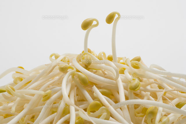 大豆のもやし
(c)TAKAO ONOZATO/orion