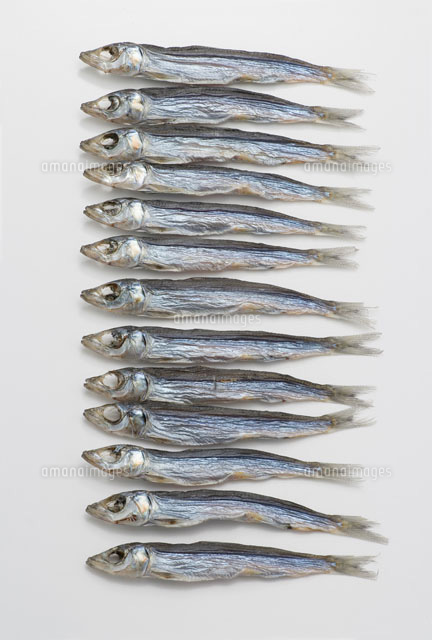 うるめ鰯
(c)TAKAO ONOZATO/orion