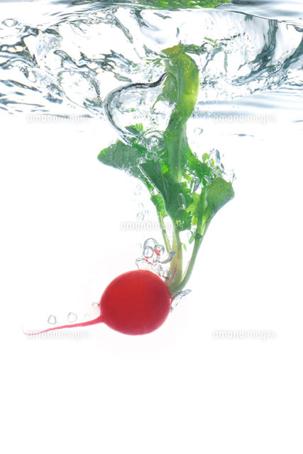 水に落ちるラディッシュ
(c)TAKAO ONOZATO/orion