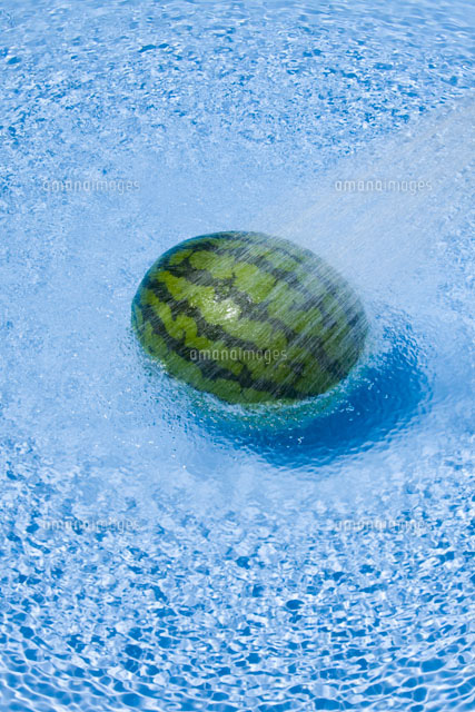水のかかるスイカ
(c)TAKAO ONOZATO/orion