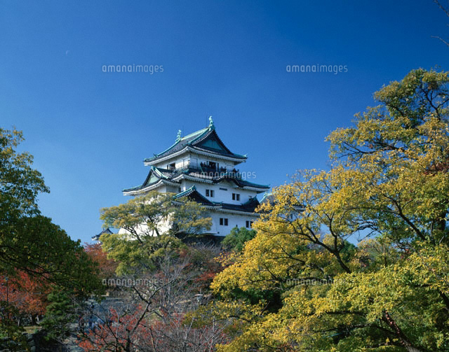 和歌山城
(c)TSUYOSHI HIRATSUKA/SEBUN PHOTO