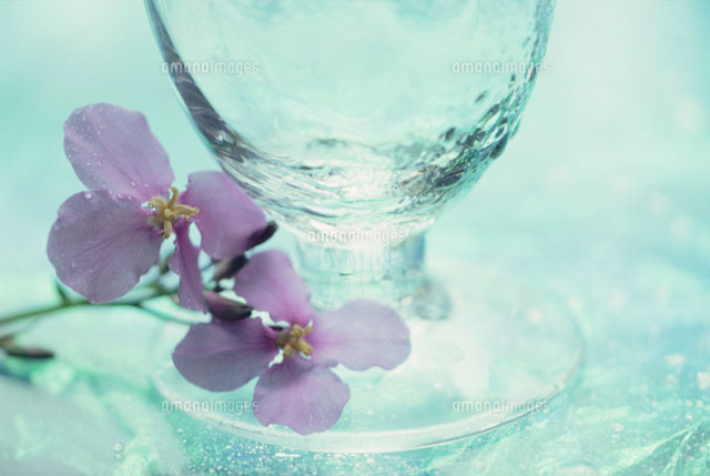 2輪の花と透明のグラス
(c)KENJI HATA/orion