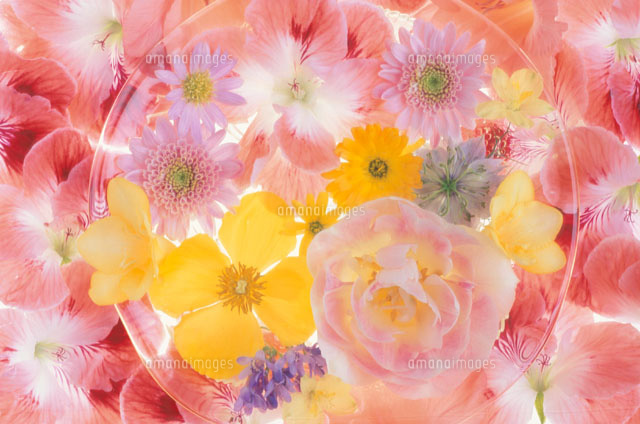 ガラスの皿に盛った花
(c)KENJI HATA/orion