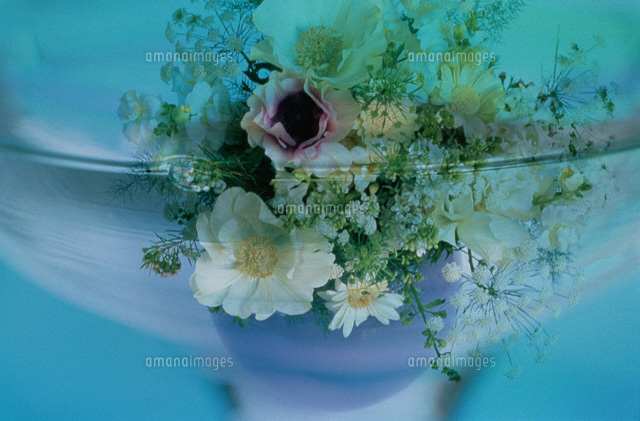 グラスの中の水と花
(c)KENJI HATA/a.collection