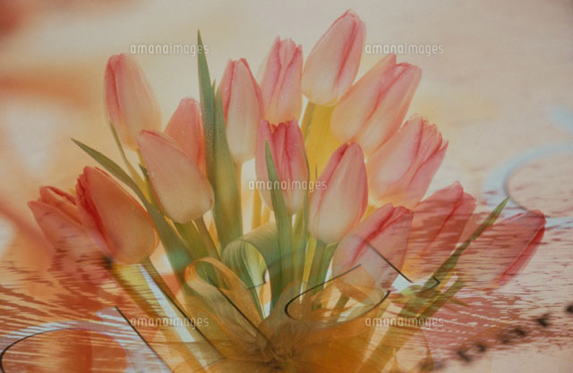 チューリップの花と水面の波紋のフォトコラージュ
(c)KENJI HATA/orion