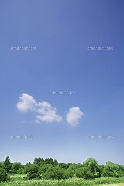 緑と青空
(c)KENJI HATA/orion