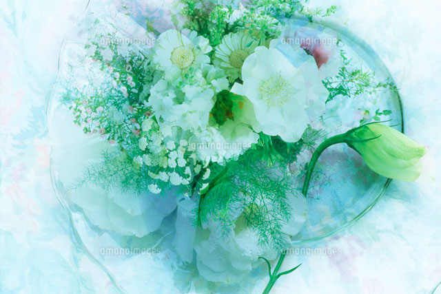 皿の上の花
(c)KENJI HATA/orion