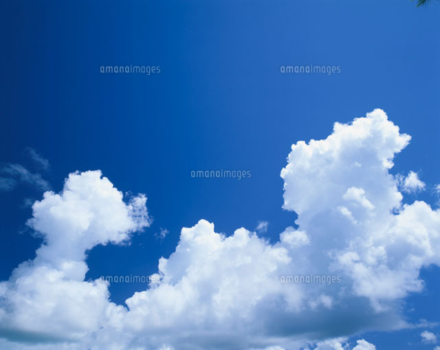 夏雲
(c)SHIGEYUKI UENISHI/SEBUN PHOTO