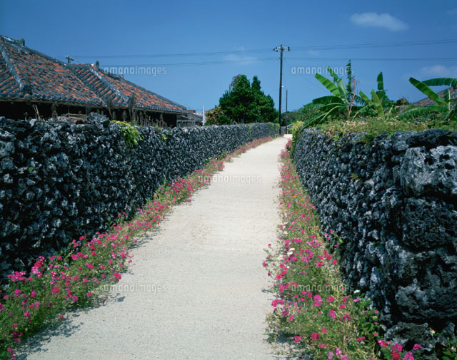 道の石垣と民家 竹富島 沖縄県
(c)SHIGEYUKI UENISHI/SEBUN PHOTO