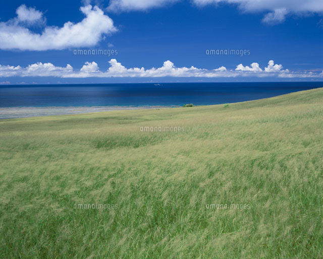 草原と海 石垣島 沖縄県
(c)SHIGEYUKI UENISHI/SEBUN PHOTO