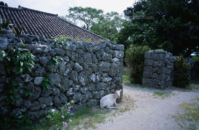 山羊
(c)SHIGEYUKI UENISHI/SEBUN PHOTO