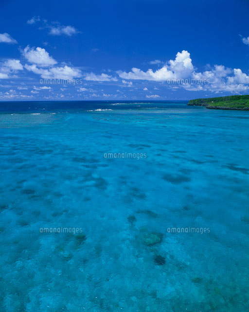 サンゴ礁の海
(c)SHIGEYUKI UENISHI/SEBUN PHOTO