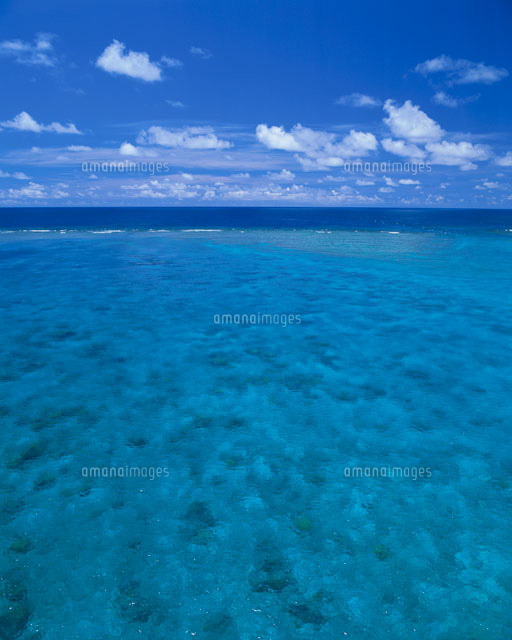サンゴ礁の海
(c)SHIGEYUKI UENISHI/SEBUN PHOTO