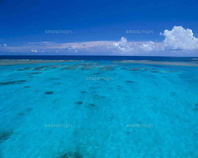 サンゴ礁の海
(c)SHIGEYUKI UENISHI/SEBUN PHOTO