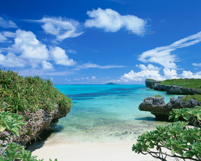 池間島 亜熱帯植物の茂る海岸
(c)SHIGEYUKI UENISHI/SEBUN PHOTO
