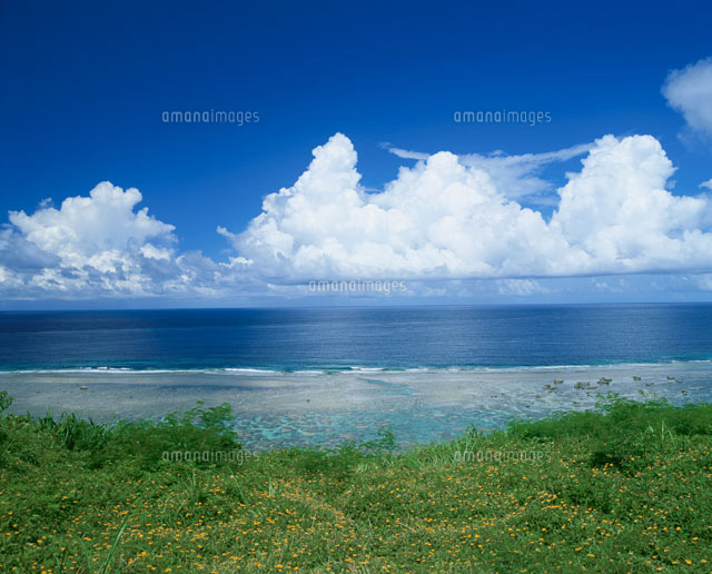 吉野の海岸
(c)SHIGEYUKI UENISHI/SEBUN PHOTO