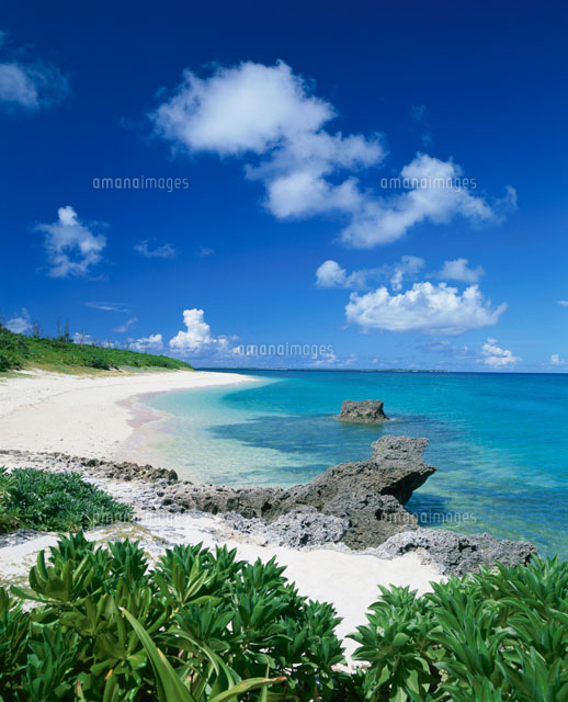 黒島の海岸
(c)SHIGEYUKI UENISHI/SEBUN PHOTO