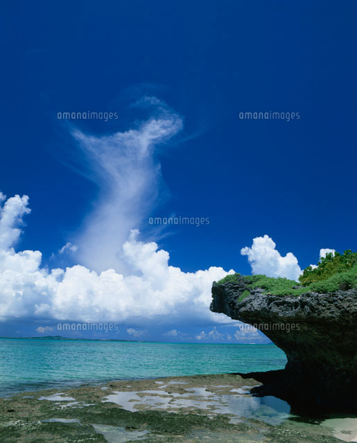 黒島の海岸
(c)SHIGEYUKI UENISHI/SEBUN PHOTO