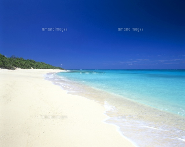 白砂浜の海岸
(c)SHIGEYUKI UENISHI/SEBUN PHOTO