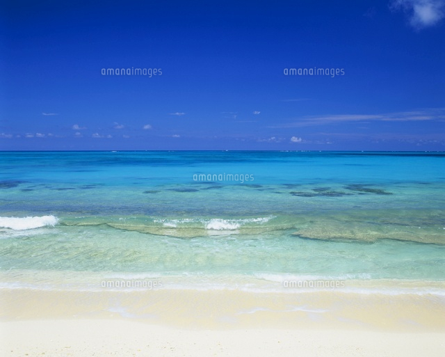 白砂浜の海岸
(c)SHIGEYUKI UENISHI/SEBUN PHOTO