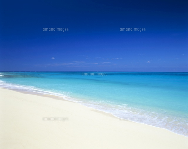 白砂浜の海岸
(c)SHIGEYUKI UENISHI/SEBUN PHOTO