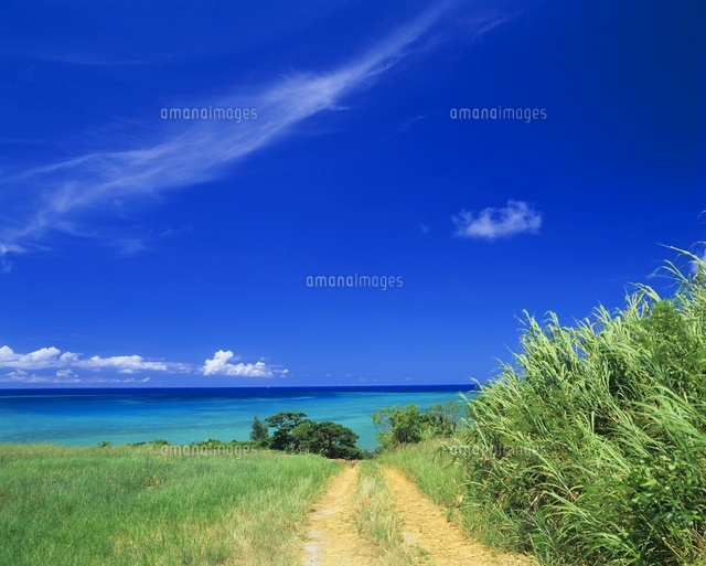 海と道と牧草地
(c)SHIGEYUKI UENISHI/SEBUN PHOTO