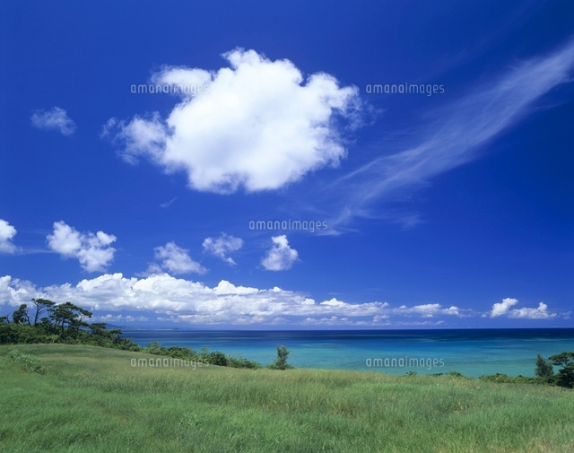 海と牧草地
(c)SHIGEYUKI UENISHI/SEBUN PHOTO