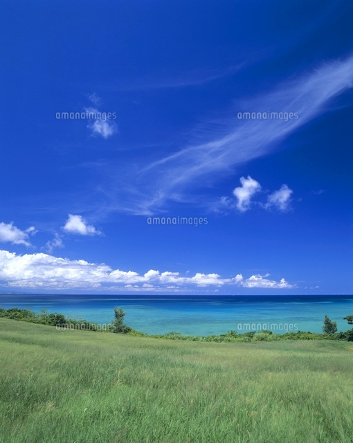 海と牧草地
(c)SHIGEYUKI UENISHI/SEBUN PHOTO