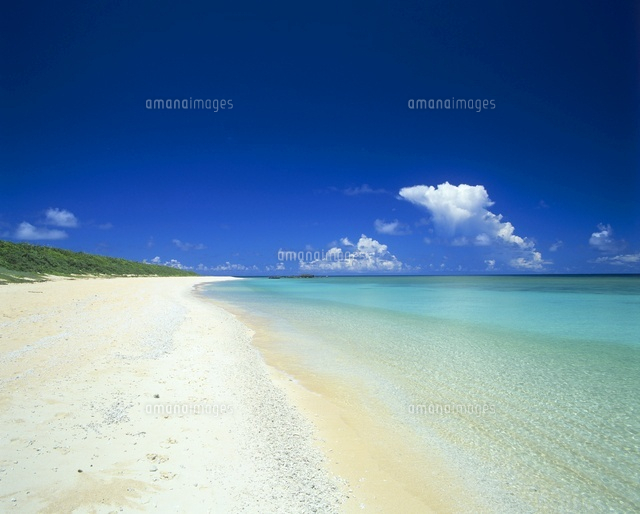 白砂の海岸
(c)SHIGEYUKI UENISHI/SEBUN PHOTO