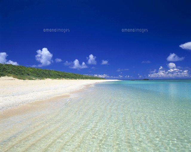 白砂の海岸
(c)SHIGEYUKI UENISHI/SEBUN PHOTO