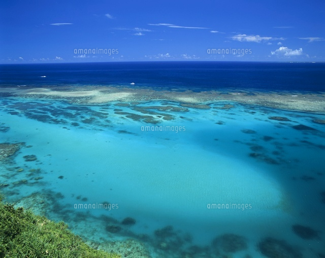 さんご礁の海
(c)SHIGEYUKI UENISHI/SEBUN PHOTO