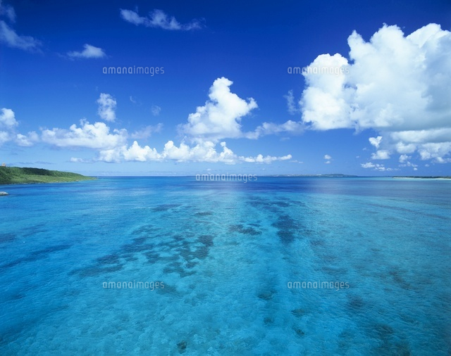 さんご礁の海
(c)SHIGEYUKI UENISHI/SEBUN PHOTO