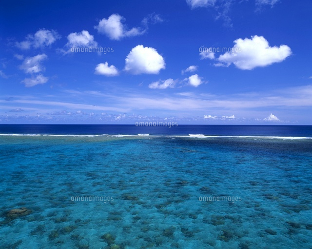 さんご礁の海
(c)SHIGEYUKI UENISHI/SEBUN PHOTO
