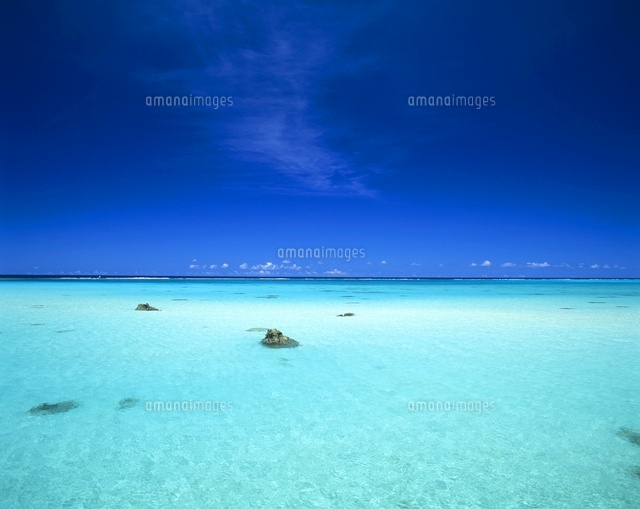 さんご礁の海
(c)SHIGEYUKI UENISHI/SEBUN PHOTO