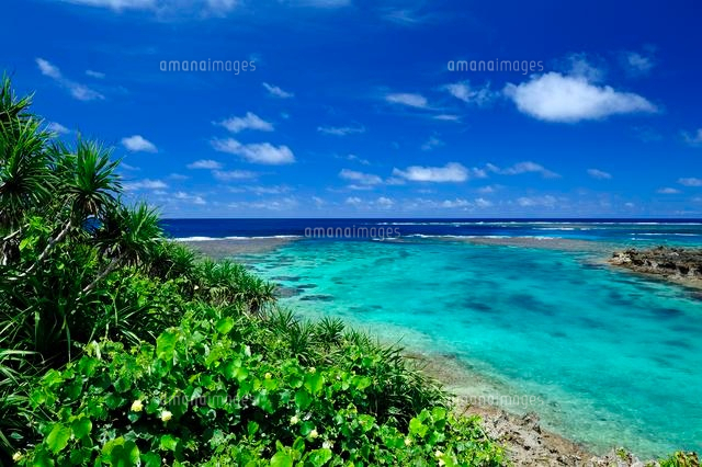 宮古諸島の伊良部島の海
(c)SHIGEYUKI UENISHI/SEBUN PHOTO