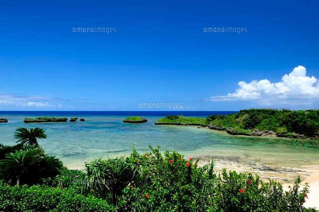 八重山諸島西表島の海
(c)SHIGEYUKI UENISHI/SEBUN PHOTO