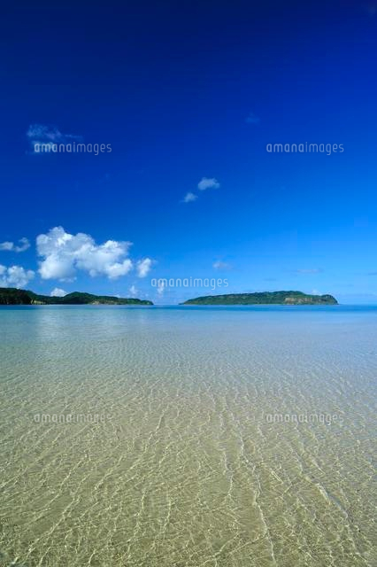 八重山諸島西表島朝の海
(c)SHIGEYUKI UENISHI/SEBUN PHOTO