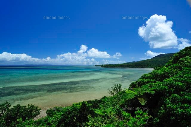 八重山諸島西表島の海
(c)SHIGEYUKI UENISHI/SEBUN PHOTO