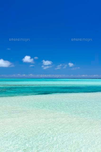 宮古島の海
(c)SHIGEYUKI UENISHI/SEBUN PHOTO