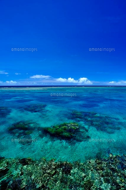宮古諸島の池間島の海
(c)SHIGEYUKI UENISHI/SEBUN PHOTO