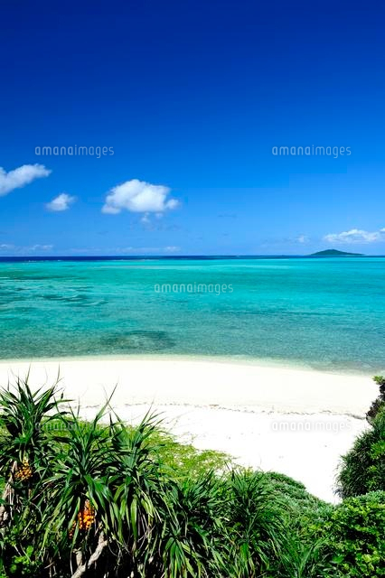 宮古諸島の池間島の海
(c)SHIGEYUKI UENISHI/SEBUN PHOTO